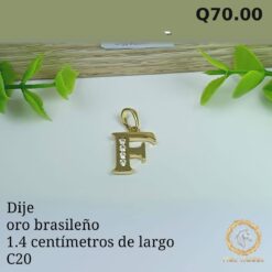 Dije C-20 - Imagen 16