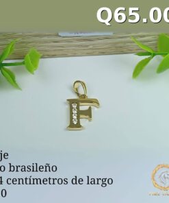 Dije C-20 - Imagen 16