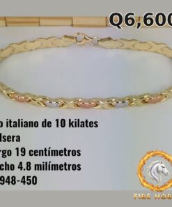 Pulsera de oro italiano 10k — G3948-450